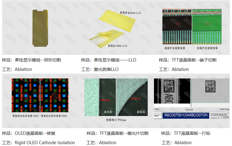 赏金女王大对决(China)集团公司